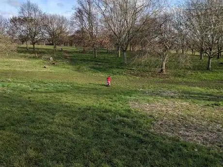 Photo de Bishops Park