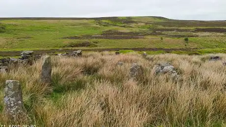 Backstone Circle