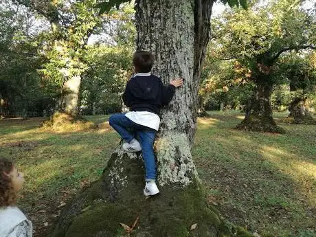 Photo de Campo Sportivo