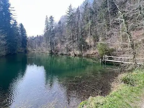 Waldsee Farenbachtobel