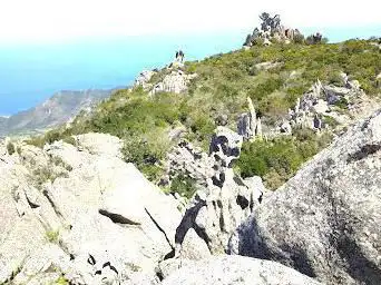 Punta Lisa