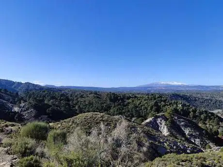 Photo de Cueva del Linarejo
