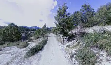 Dina