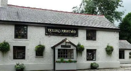 The Hawthorn Gallery