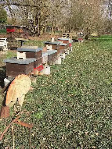 Bienenstation Adrian Metzech