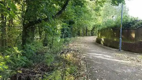 Gunnergate Wetlands