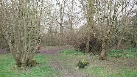 Photo de White Court Woods