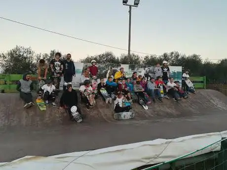 Photo de Cutback Bamboo