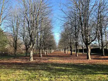 Photo de Genthod Park