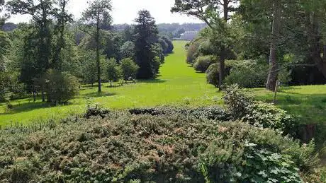 Antony Woodland Garden