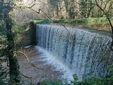 Photo de Astbury Falls Waterfall