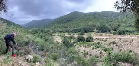 Oasi del Cervo e della Luna Riserva WWF – Campo PERDU MELIS