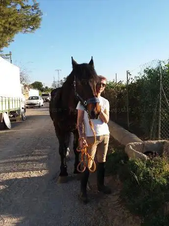Photo de La Palmera