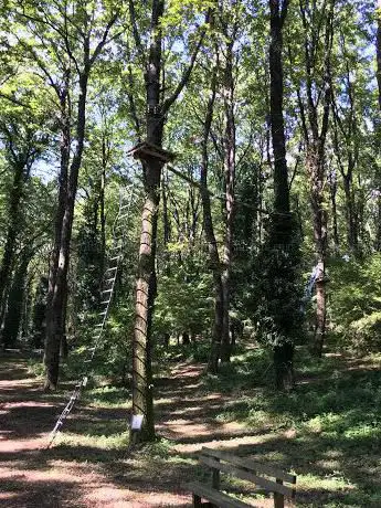 Photo de parco avventura i montanari