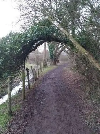 Whiskey Trail