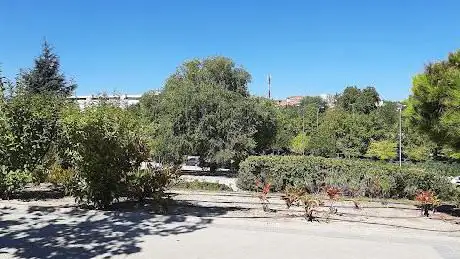 Photo de Arroyo de los Pinos Park