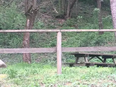 Area picnic