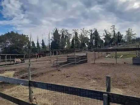 Photo de Il vignaccio horse ranch