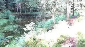 étang des Sangsues