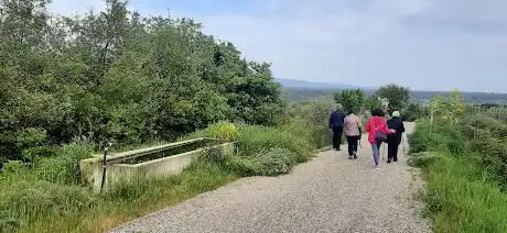 Cammino del Lago Omodeo