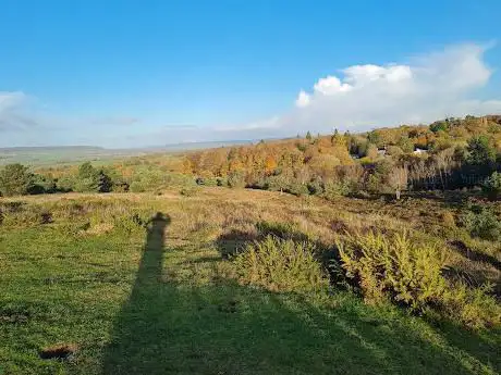 RSPB Venn Ottery Common
