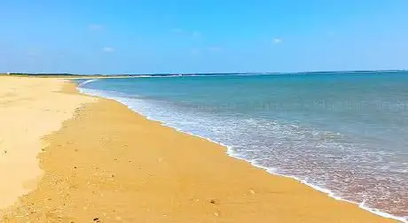 Photo de Sud Vendée Littoral Tourisme