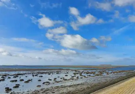 Uitzichtpunt Kats Oosterschelde