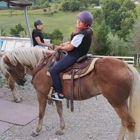 Photo de Centro turismo equestre ranch stella alpina ASD