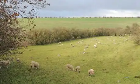 Photo de National Trust - Piggle Dene