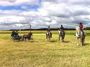 Les Ecuries du Ménage - Centre Equestre de Beussent