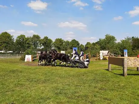 Exell Equestrian