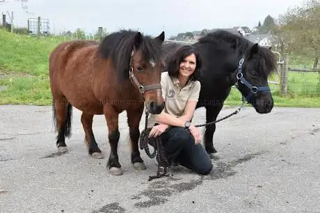Reittherapie mit Herz