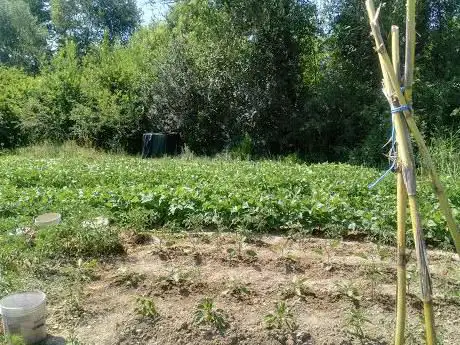 Photo de Terrain de football Sterpeti