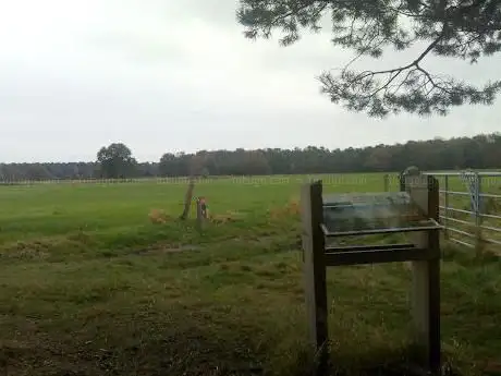 Rustbank Steertse Heide