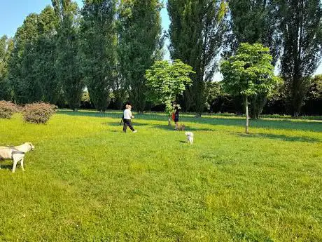 Photo de Parco pubblico con panchine