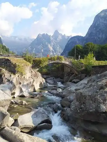 Photo de Moss nel Bidè