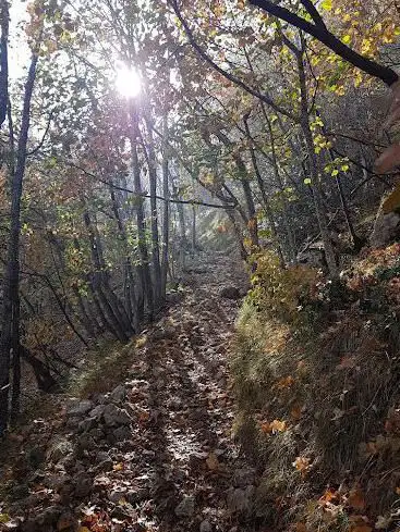 Photo de Chemin de la Grande Gorge