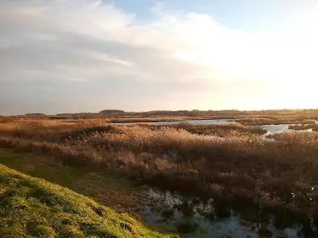 Lunt Meadows Mesolithic Site