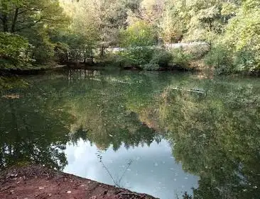 Alter Badeweiher