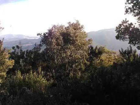 Photo de Comtat del Jaruco