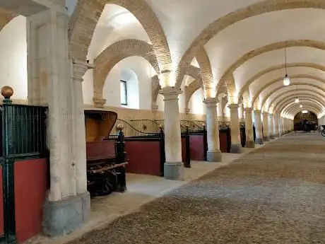 Photo de JuderÃ­a de Cordoba