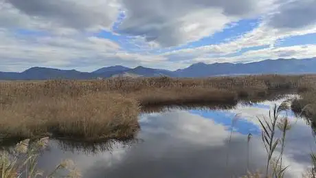 Photo de Valencia Birding