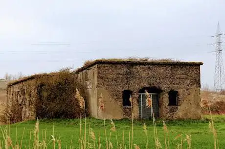 Photo de Fortjes