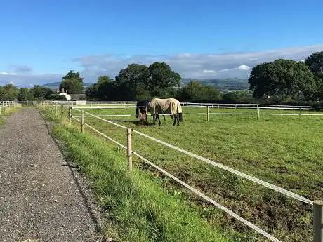 Hobby Farm Equestrian