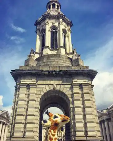 Photo de Trinity College Zoological Museum