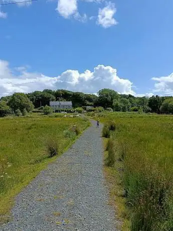 RSPB Mawddach Valley - Arthog Bog