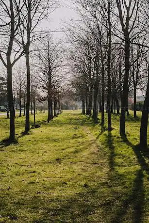 Lampisten park