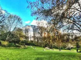 Forest Park