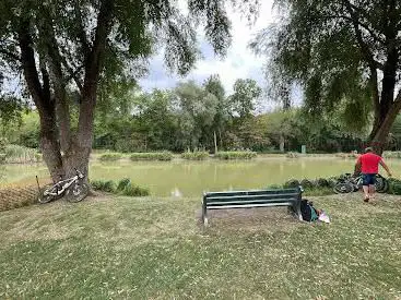 Étang de Willenbrunnen-garten