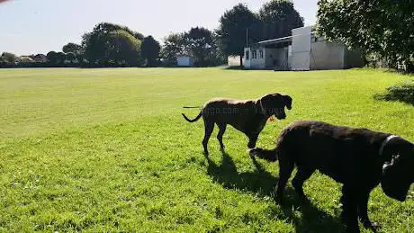 Photo de Goring Recreation Ground